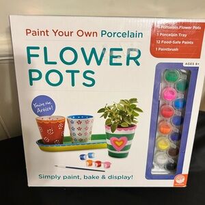 NIB Paint Your Own Porcelain Flower Pots Kit